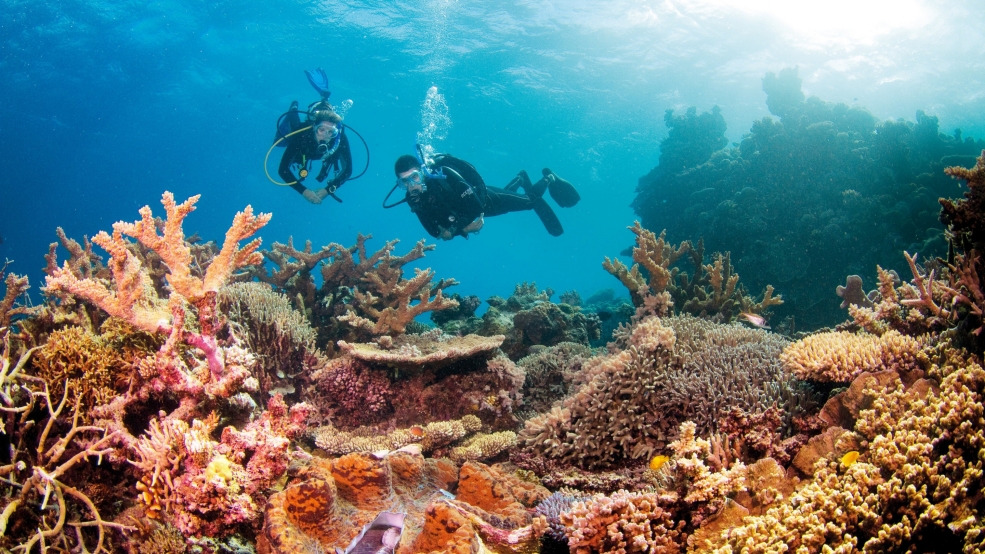 Great Barrier Reef not at risk