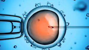 IVF controversy over sperm from deceased