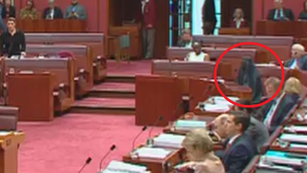Article image for Pauline Hanson again sparks controversy, wears burqa in the Senate