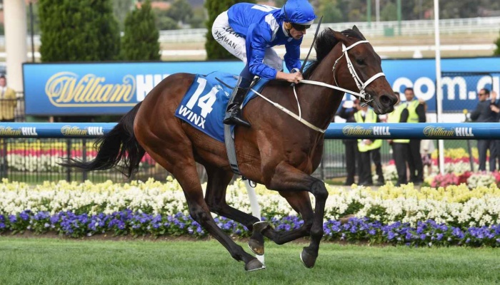 Article image for Will Winx retire? Chris Waller all but confirms the mighty mare’s future