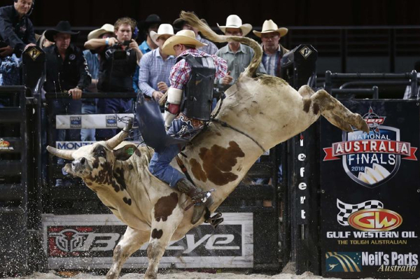 Article image for Barber by day, bull rider by night: Extraordinary Aussie Budd Williamson