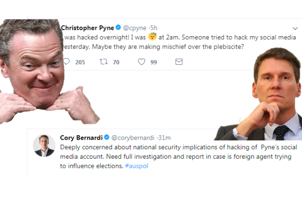 Article image for Cory Bernardi: Christopher Pyne blames hacker for Twitter porn mishap