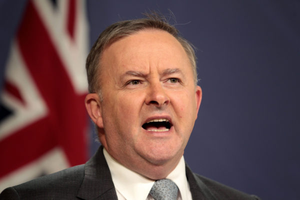 Article image for Albanese: ‘Internal fighting has spread to the National Party’