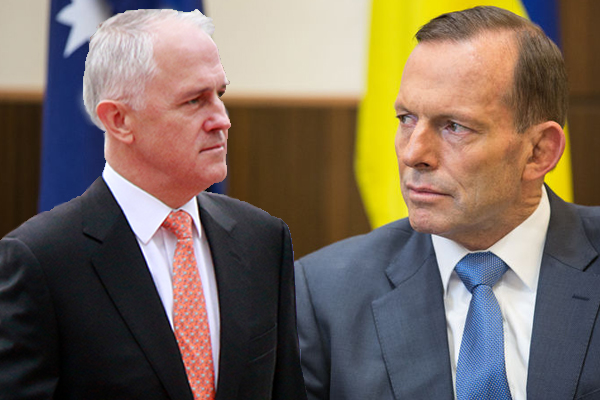 Article image for Tony Abbott hits back at Turnbull