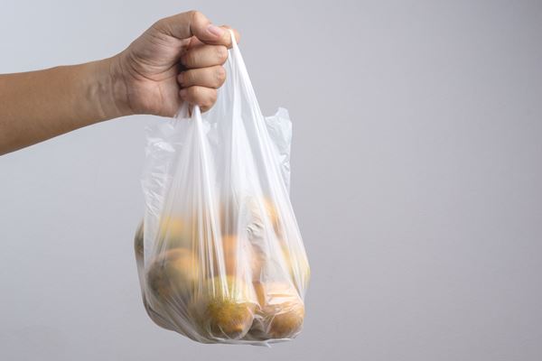 Article image for Will plastic bags be outlawed?