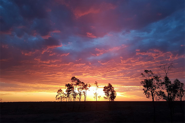 Article image for Stunning sunset sent in from country Australia