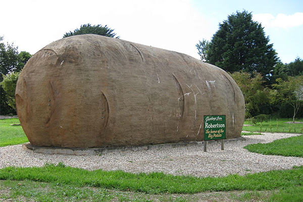 Article image for Love potatoes? You could own the most famous one in Australia