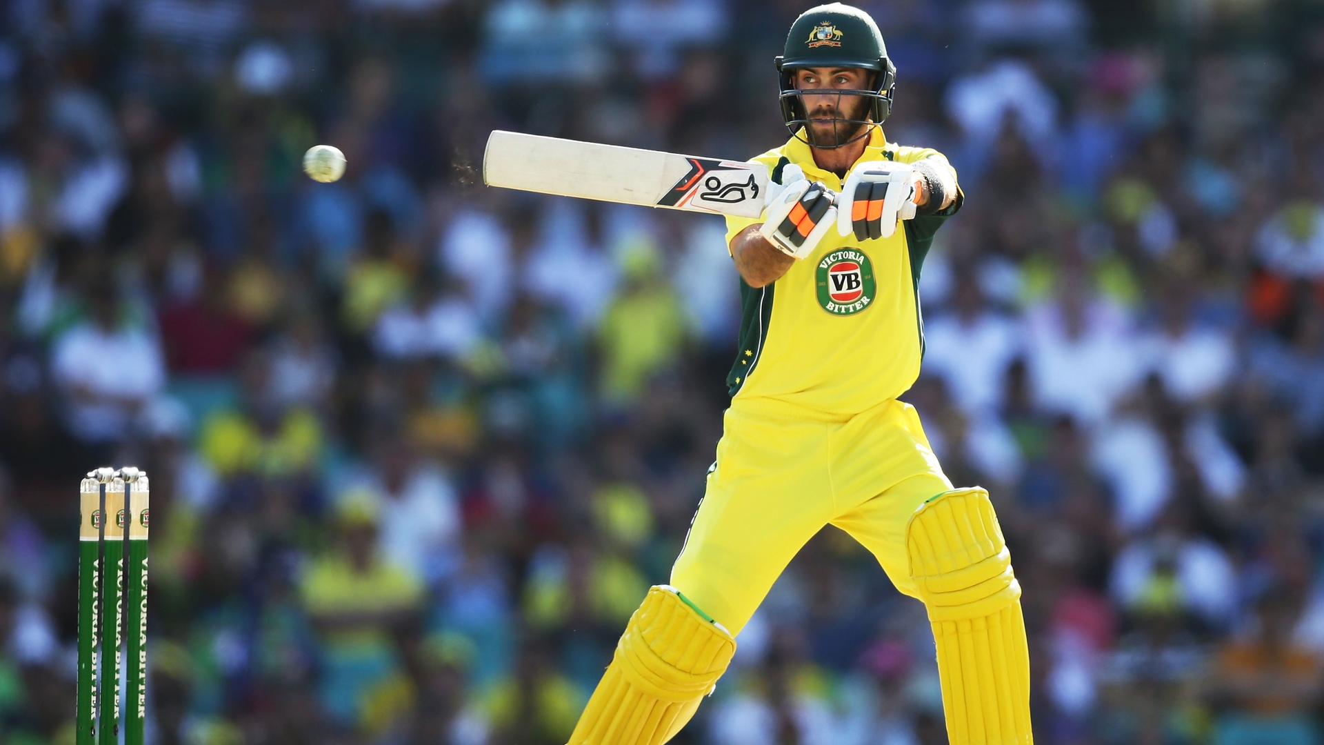 Article image for Maxwell overlooked as Australia include Lynn