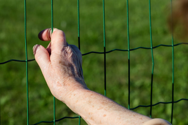 Article image for Study reveals aged care residents are fed worse than prisoners