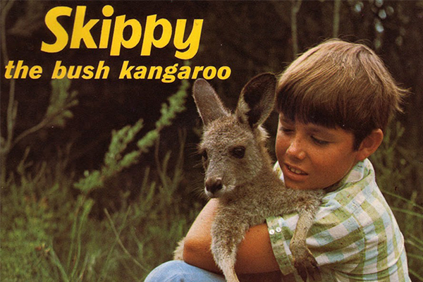 Article image for 50-year anniversary of this iconic Aussie series