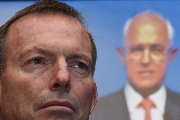 Article image for Tony Abbott: Malcolm Turnbull can win the next election