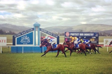 With over 17 years experience, this horse trainer tells Ray why he chose this rural town