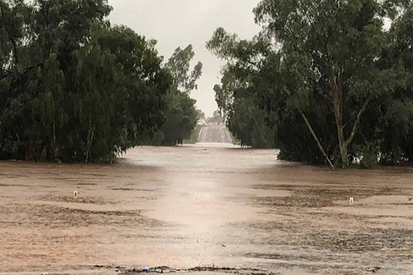 Article image for Queensland towns saved by drought-breaking rains