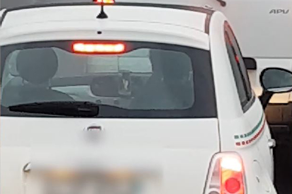 Article image for VIDEO | P Plater using Facetime in Anzac Bridge peak-hour