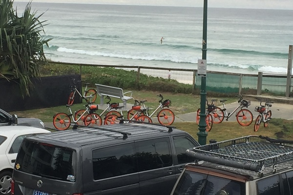 Article image for Queensland hit by botched share bike scheme