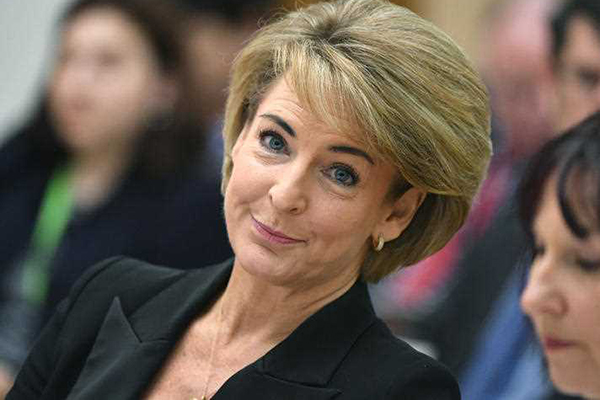 Article image for Senior government minister backs Michaelia Cash