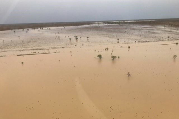 Article image for Relieved farmers get a drenching