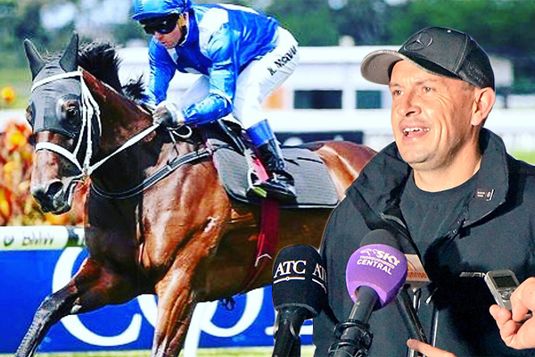 Article image for Is Winx beatable? Chris Waller doesn’t think so
