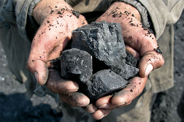 Article image for Coalition backbenchers lobby for coal under new forum