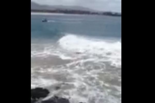 Article image for WATCH: Dangerous surf lashes Coffs Harbour boat ramp