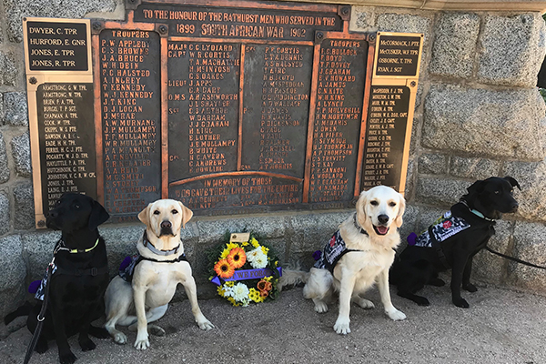 Article image for Dogs trained by inmates lead Anzac Day march