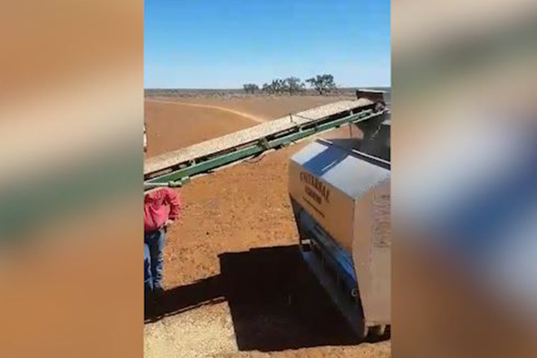 Article image for WATCH | This footage shows just how dry it is for our farmers