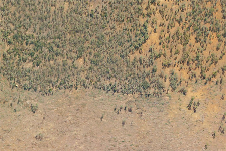 Desperate QLD farmer fighting massive land clearing fines