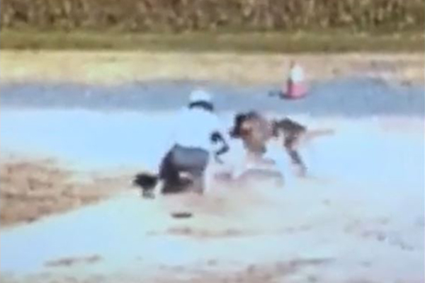 Article image for WATCH | Woman desperately wrestles to save her dog’s life