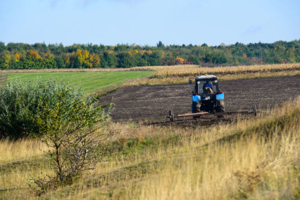 Article image for ‘I hope it’s not rushed’: Senator Williams talks banking royal commission into agricultural sector