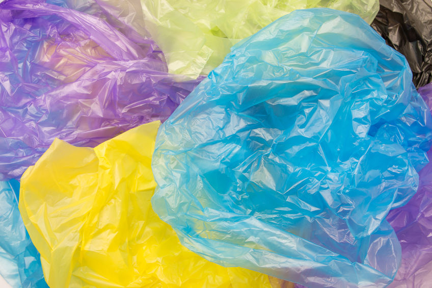 Article image for ‘It’s utterly absurd’: Rita Panahi unleashes on plastic bag ban