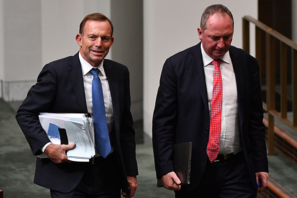 Article image for ‘He still has quite a bit more to give to our country’: Tony Abbott backs Barnaby revival