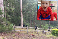 Police scouring bushland in fresh William Tyrrell ‘forensic search’