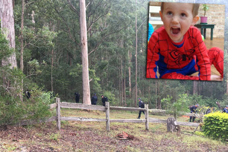 Police scouring bushland in fresh William Tyrrell ‘forensic search’