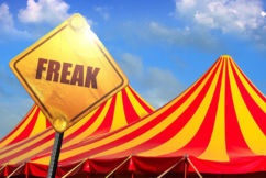 ‘It’ll be a circus, it’ll be a freak show’: Rowan Dean on Palmer’s political comeback