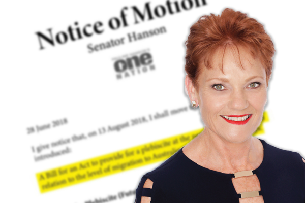 Article image for ‘We’re simply not coping’: Andrew Bolt weighs in on One Nation push for immigration plebiscite