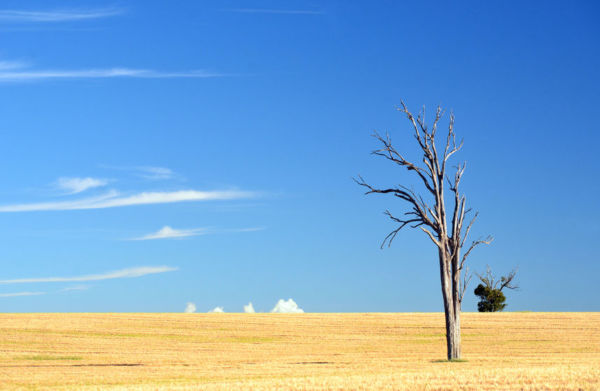 Article image for ‘We’re not water poor, we’re vision poor’: Michael McLaren continues push for drought future fund