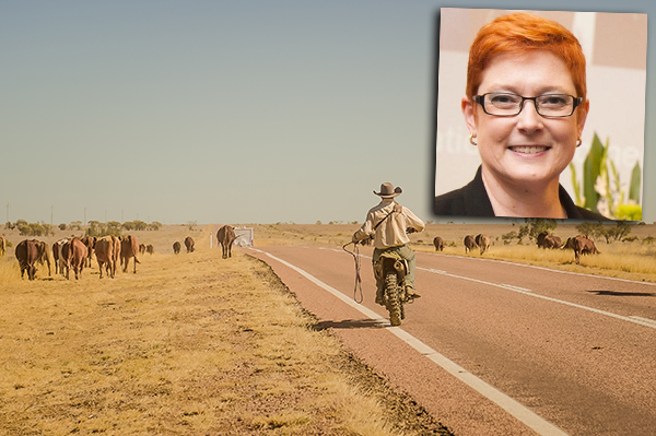 Article image for Defence Minister commits military assistance to the drought crisis