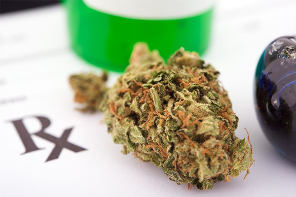 Article image for Study finds Australian doctors confused by medicinal cannabis