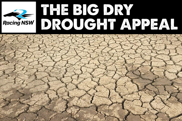 Article image for Racing NSW makes huge donation to #TheBigDry drought appeal