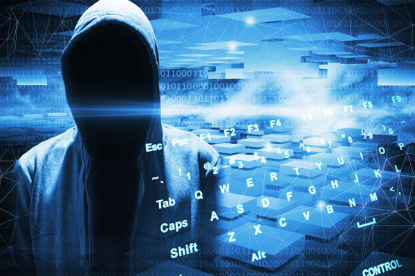 Article image for Government needs to step up as cybercrime becomes ‘rampant’