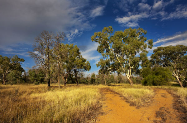 Article image for ‘This won’t work’: plans to force migrants to the bush for five years considered by government