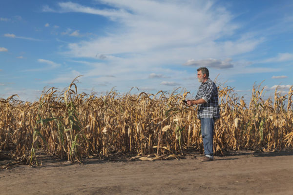 Article image for ‘We’d save a lot of people’: Robbie Katter calls for rural development bank to help drought-ravaged farmers