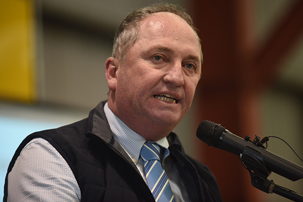 Article image for ‘This is bulls***. This has got to stop’: Barnaby Joyce has had enough