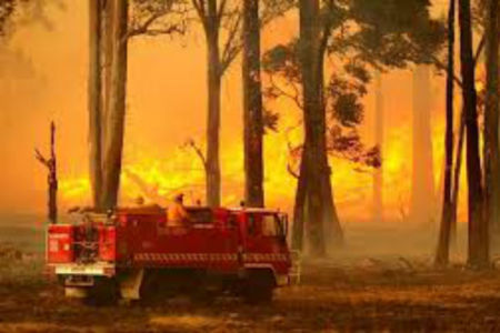 SEQ on bushfire alert