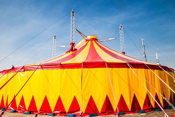 Article image for Activist groups leave an Australian circus fighting for its future