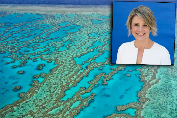 Article image for Turnbull asked to explain half a billion dollar handout to Great Barrier Reef Foundation