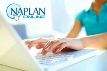 Concerns about online NAPLAN test results