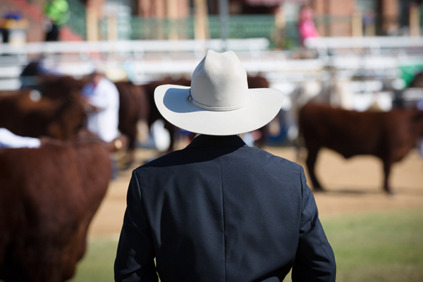 Article image for Meet the farmers showcased at this year’s Ekka