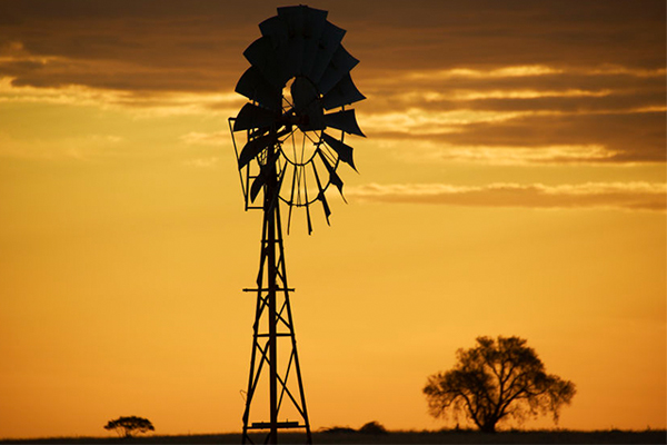 Article image for Finally, some good news for our drought-stricken farmers