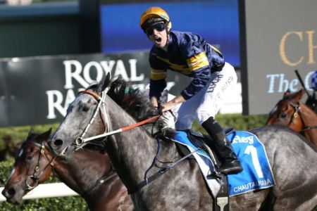 Will Chautauqua jump?